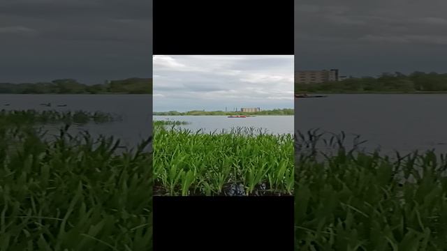 купание с утятами 😁