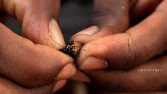 Phoenix pusilla (Ceylon date palm) Fruits Picking and Eating in my Village | village food taste смотреть онлайн