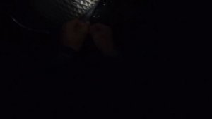 Ловля трофейного сазана! ПВА стик. Крупные бойлы. Астрахань.