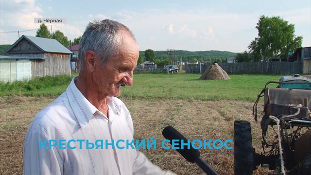 Пенсионер из д. Чёрной заготавливает сено своими силами смотреть онлайн