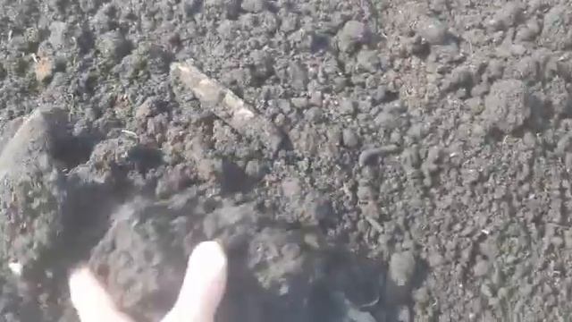 Чернозем Великий Новгород. Лесная земля с доставкой. смотреть онлайн