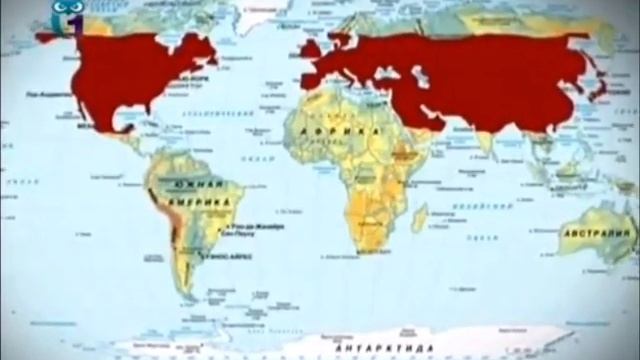 Пищуха (грызун) смотреть онлайн