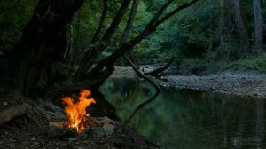 Какой горшок нужен для каланхоэ?