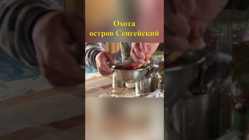 Охота на острове Сенгейский 13  #охотавроссии #охотанагуся