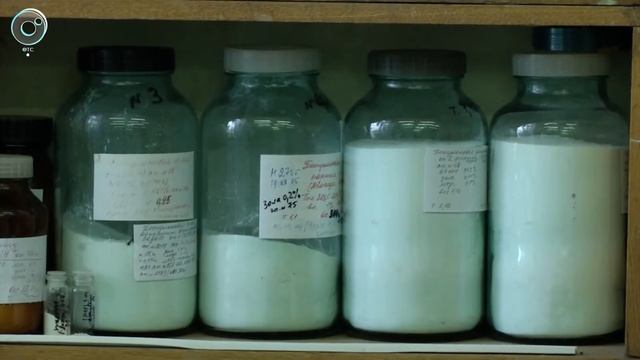 Чем полезно для человека вещество, которое делает кору берёзы белой? смотреть онлайн