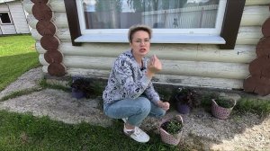 ЦВЕТЫ ГИБНУТ ОТ ЖАРЫ И ДОЖДЕЙ КАК ПОМОЧЬ СПАСТИ ЦВЕТЫ