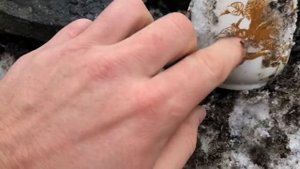 Раскопки в Ленинградской области 9