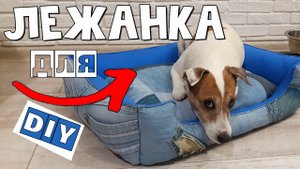 Лежанка для собаки своими руками. Выкройка лежанки для собаки