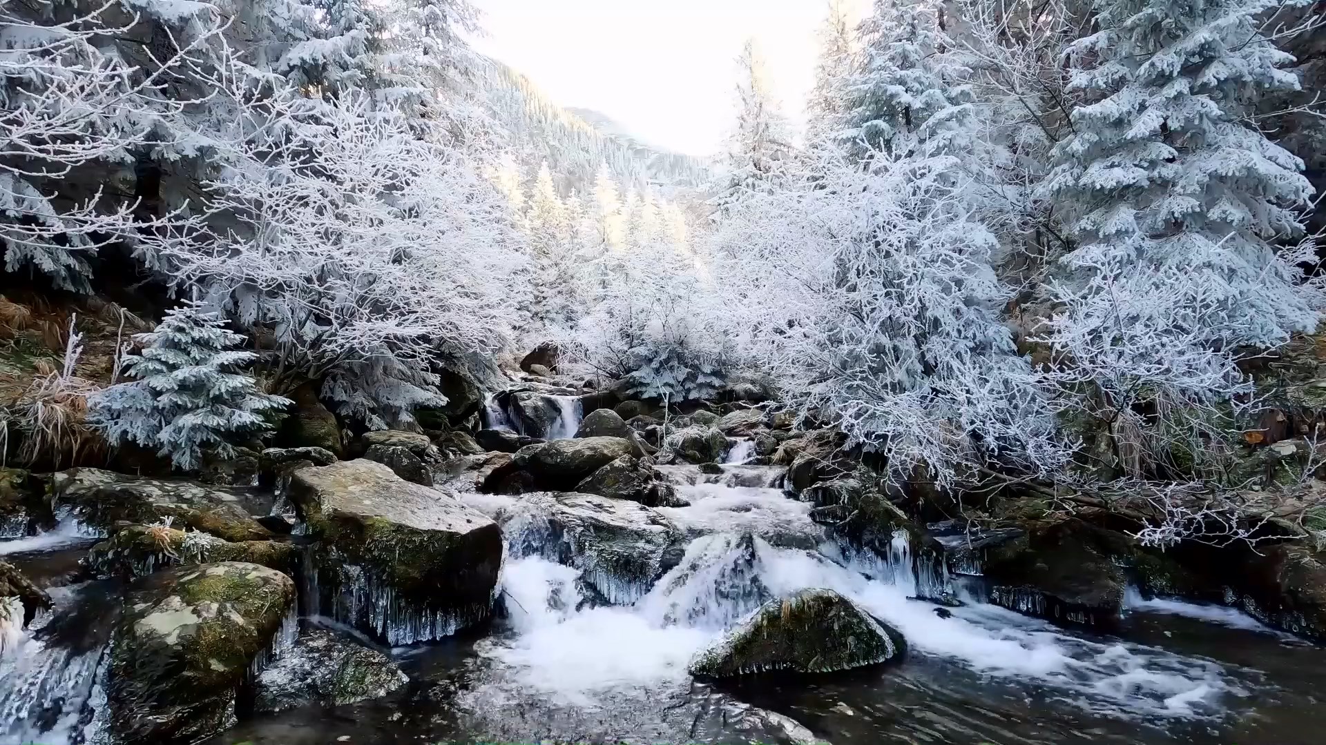 Зима в лесу. Шумит зима. Шум ручья. Ручеек видео.