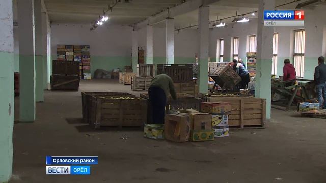 Орловские яблоки покорили Москву