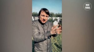 Адабы посещения нашего последнего дома. Асхат Гиматдинов