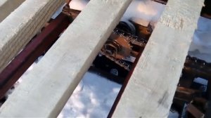 Муравей палочник устройство.