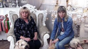 Пшеничные терьеры