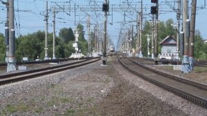 "Сапсан" на станции Любань.