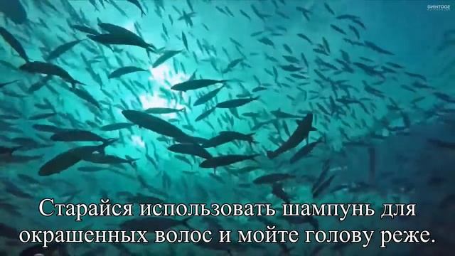 Почему голову не надо мыть каждый день — Статья смотреть онлайн