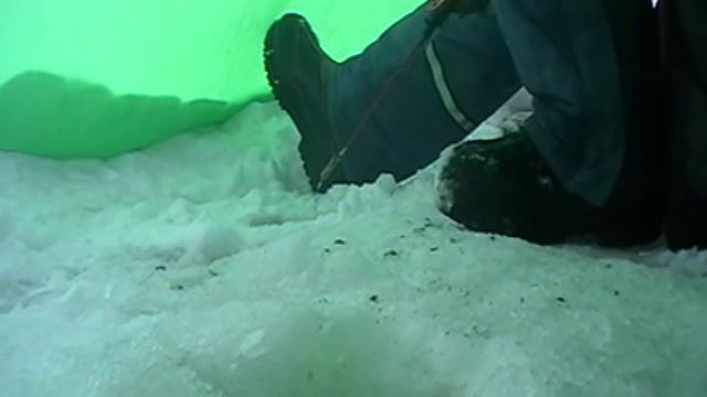 Коряжник, живой кормак и окуни. смотреть онлайн