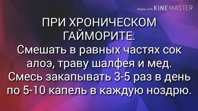 ЭЛИКСИР ЖИЗНИ. смотреть онлайн