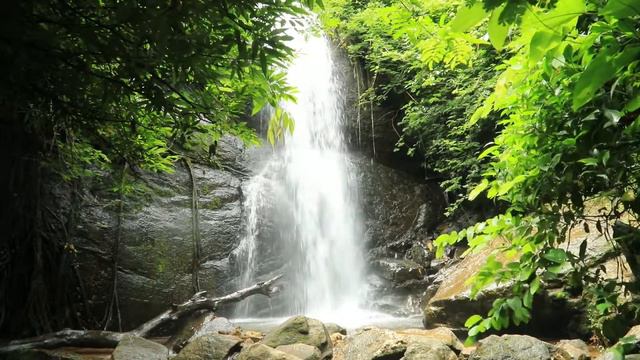 СВЕКРОВЬ И НЕВЕСТКА! НОВАЯ ИСТОРИЯ О СТАРОМ! смотреть онлайн