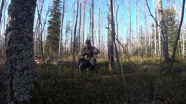 Пеший поход между Мещерских озер Круглец, Светец и Окунек. Октябрь 2021.