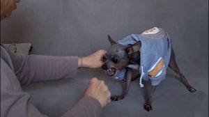 ДО и ПОСЛЕ-Результаты учеников Ш.А.Н. (Часть 2)