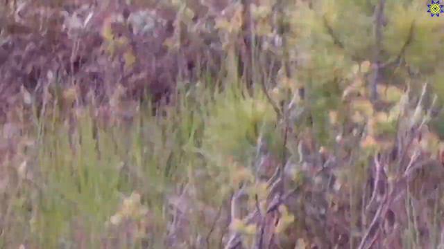 Тренируем природные возможности глаз. Наталья Никитина. 2020-06-03 смотреть онлайн