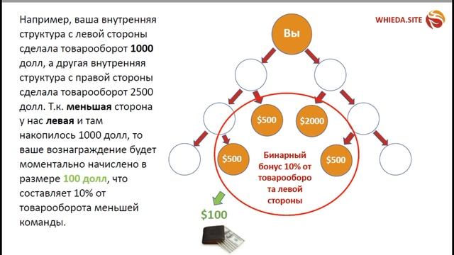 WHIEDA | ? Маркетинг-план