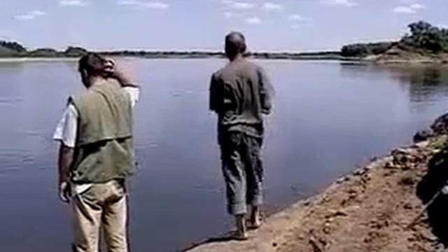 Чехонь на Ахтубе
