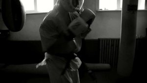 Кудо-реальнее только жизнь