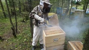 Электрический дымарь Топливо для дымаря. smoker for bees.