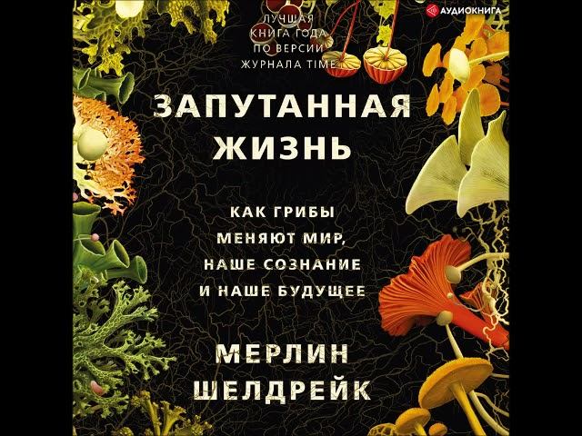 #Аудиновинка| Мерлин Шелдрейк «Запутанная жизнь. Как грибы меняют мир, наше сознание и наше будущее»