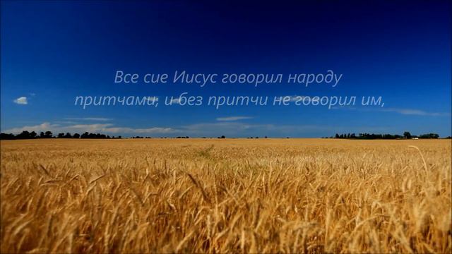 ПРИТЧА О ПШЕНИЦЕ И ПЛЕВЕЛАХ //// ПРИТЧА О ЦАРСТВЕ НЕБЕСНОМ  ////