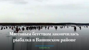 Массовым бегством закончилась рыбалка в Ванинском районе