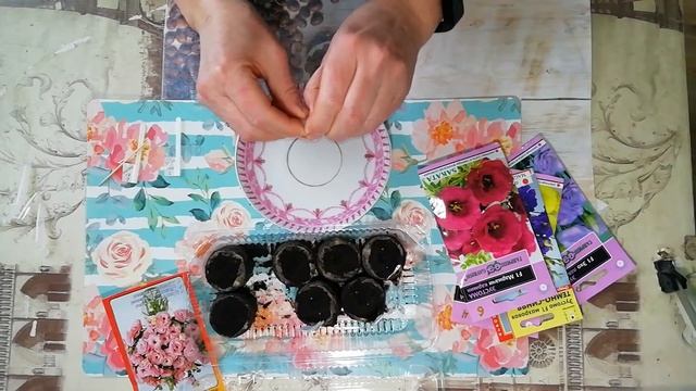 Эустома. Первые посевы в декабре. Всходы. смотреть онлайн