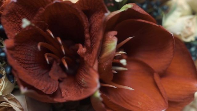 Bouquet 84 букет недели до 20 ноября смотреть онлайн