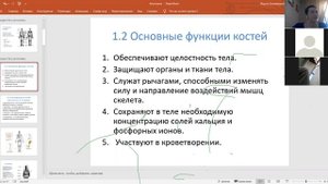 Мария Башкирцева Анатомия Плоскости и оси, скелет человека