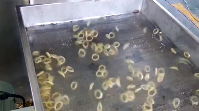 линия луковых колечек смотреть онлайн