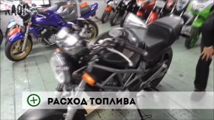 Honda VTR 250 - Плюсы и Минусы - Маленький Дукати
