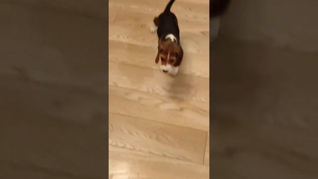 Илон октябрь 2021(1) смотреть онлайн