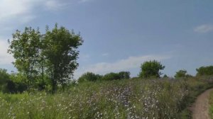 Алтай. Водопад с. Пильно