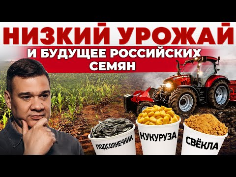 Урожая не будет?! Как импортозамещение может победить санкции против России? Андрей Даниленко.