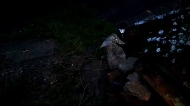 Готовлюсь делать опору для винограда/ И снова покупки//Наталья Харитонова смотреть онлайн