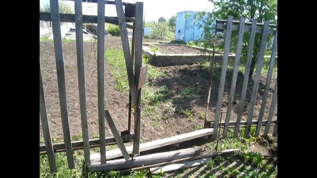 Как мы сеяли газон смотреть онлайн