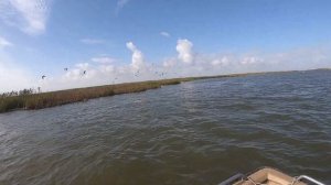 Рыбалка с БОРОДОЙ или как мы душили жереха в МАКОВО в октябре 2023