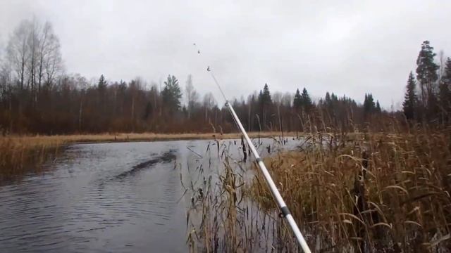 Осень 2017. Выезд выходного дня. Бабуха. Лишь бы дома не сидеть. смотреть онлайн