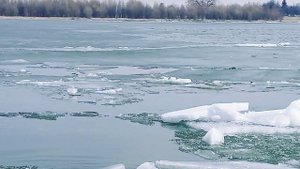 Ледоход. Иртыш. Тара 22.04.23 г.