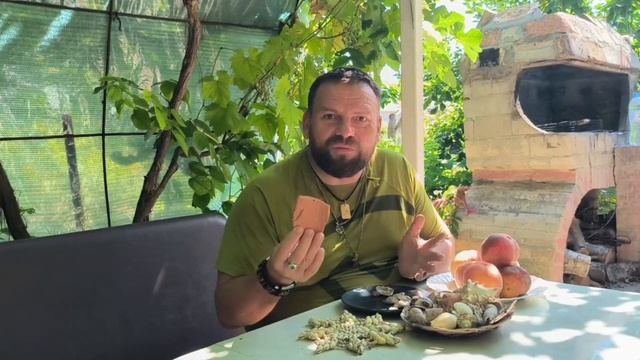 ДАРЫ МОРЯ И ИХ МАГИЧЕСКИЕ СВОЙСТА смотреть онлайн