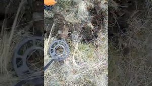 Тест металлоискателя MD-3010II