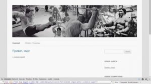 Работаем над хедером в WORDPRESS
