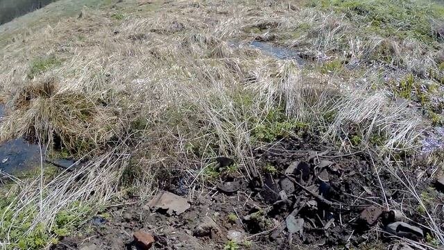 КОП ! ШУРФ и ПОИСК С МЕТАЛЛОИСКАТЕЛЕМ НА УРОЧИЩЕ