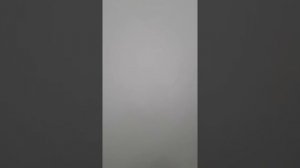 Мышь разгулялась в натяжном потолке